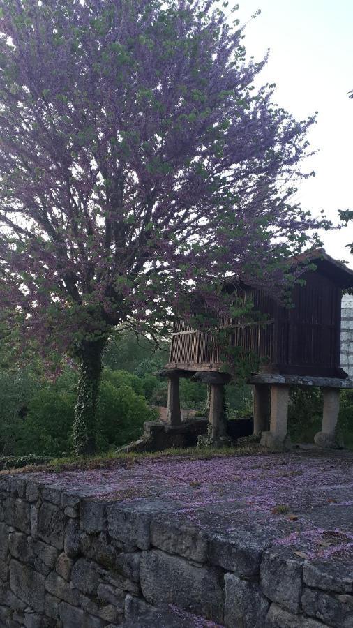 Casa Rural Torre Lombarda Allariz Exteriör bild